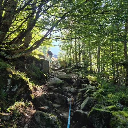 Bed & Breakfast La Coume Biert