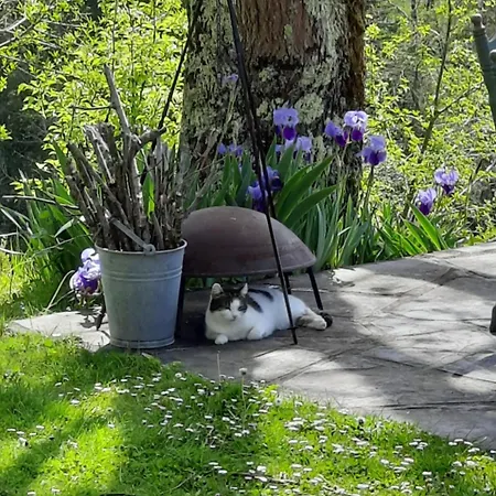 Bed & Breakfast La Coume 3*